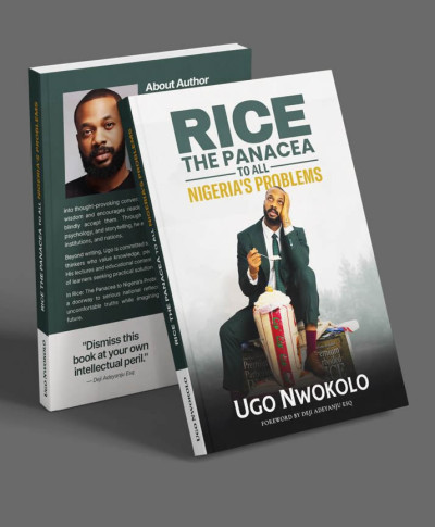 Rice: The Panacea To All Nigeria's Problems
